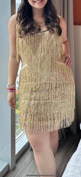 The Euphoria Shimmer Fringe Dress